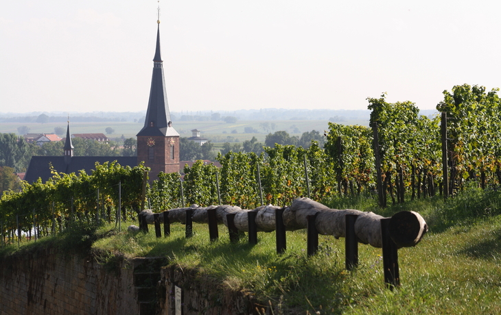 Kirchturm in einer ländlichen Landschaft mit Weinberg im Vordergrund.
