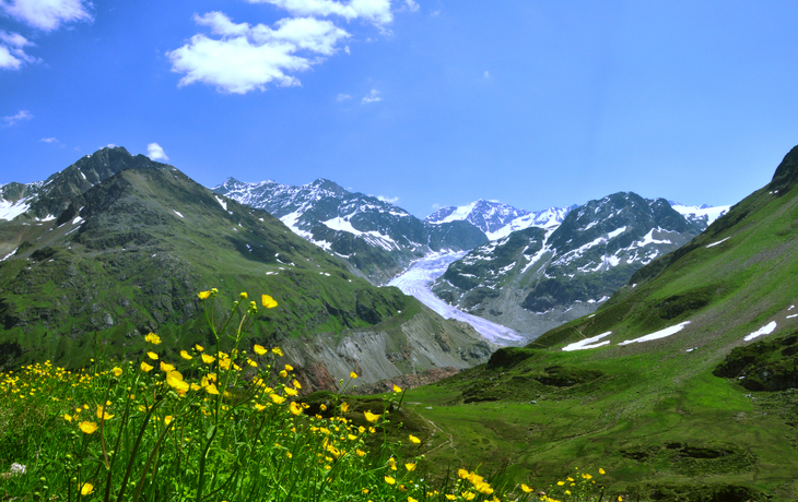 Berglandschaft mit grünen Wiesen, gelben Blumen und schneebedeckten Gipfeln unter blauem Himmel.