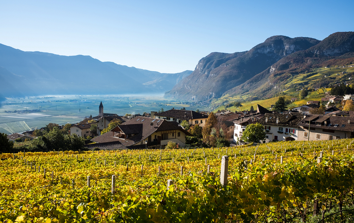 Weinberge vor einem Dorf in einem sonnigen Tal mit Bergen im Hintergrund.