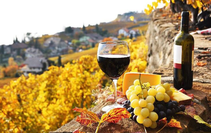 Weinflasche, Weinglas, Trauben und Käse auf Steinterrasse im Herbst.
