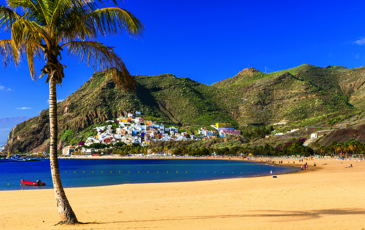 Strand mit Palme, Meer und bunter Küstenstadt im Hintergrund.