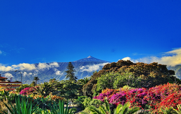Blick auf den Teide hinter einer bunten Pflanzenlandschaft.
