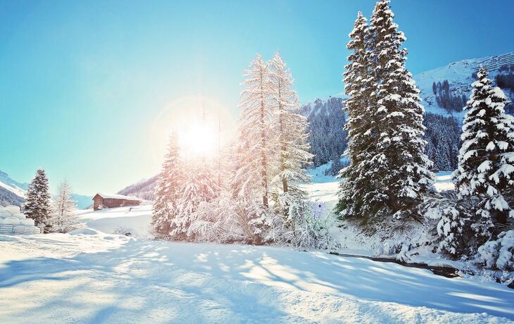 Verschneite Berglandschaft mit Tannen und einem kleinen Holzhaus, im Hintergrund scheint die Sonne.