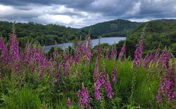 Wandern mit Helmut 
Einruhr - Eifel