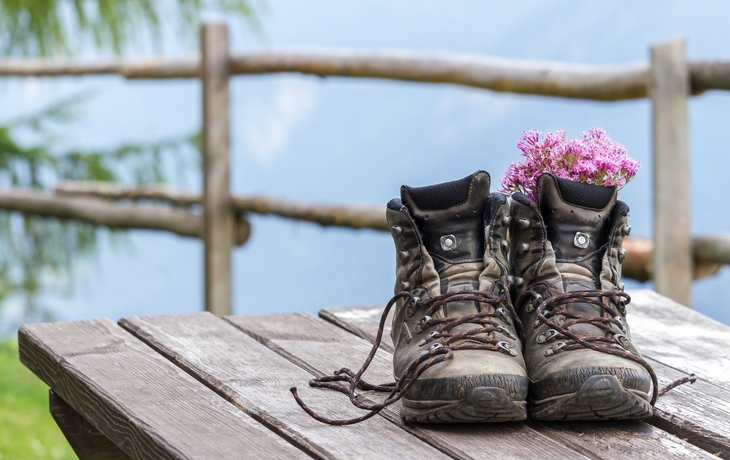 Wanderschuhe mit Blumen auf Holztisch vor Bergkulisse