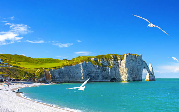 Klippen von Étretat bei sonnigem Wetter mit blauem Himmel und Möwen.