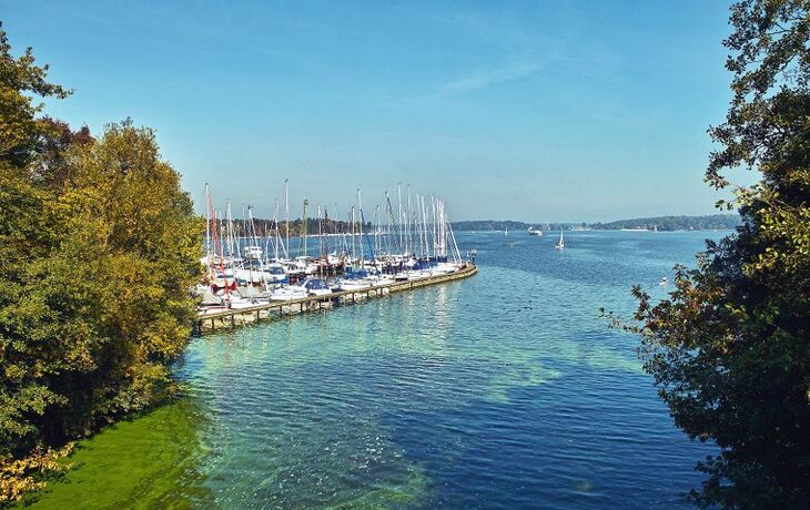Segelboote im Hafen, umgeben von grünem Wasser, mit Bäumen und einem klaren blauen Himmel.