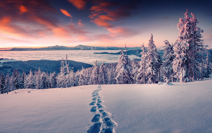Nebeliger Wintersonnenaufgang im schneebedeckten Berg