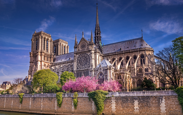 Kathedrale Notre-Dame in Paris mit blühenden Bäumen im Vordergrund.