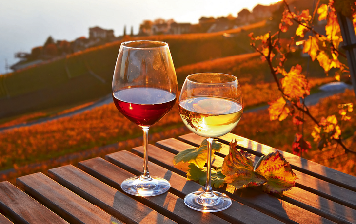 Zwei Weingläser auf einem Tisch in einem Weinberg im Sonnenuntergang.