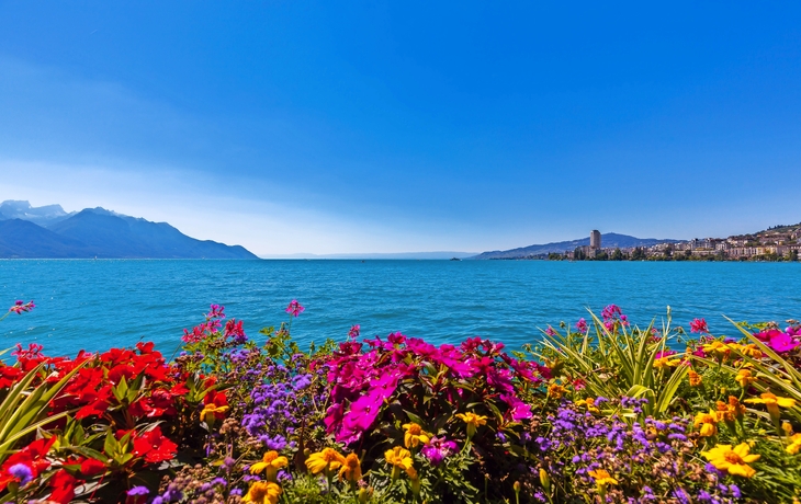 Blumenbeet vor blauem See und Bergen unter klarem Himmel.