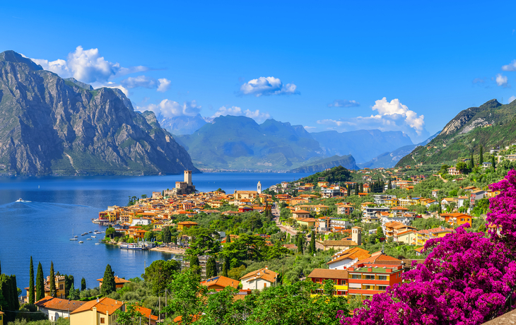 Landschaft mit See, Bergen, Dorf und Blumen im Vordergrund.