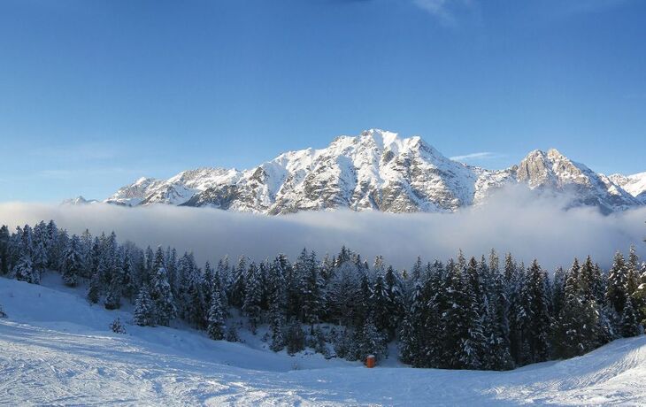 Schneebedeckte Berge und Tannen unter klarem Himmel im Winter.